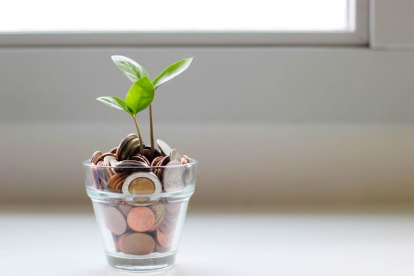 A glass cup with coins and a plant in it.