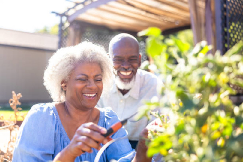 Elderly couple gardening together, smiling joyfully.